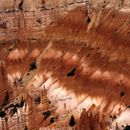 (2000-08) USA Westküste - Bryce Canyon 010
