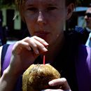 (2001-05) Kuba 04027 - Havanna - Markt am Plaza de Armas - Kokosnuesse