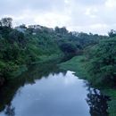 (2001-05) Kuba 05003 - Havanna - Der Rio Almendares und Parque Metropoitano