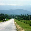(2001-05) Kuba 15026 - Provinz Holguín - Unterwegs nach Baracoa