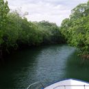 (2001-05) Kuba 20024 - Marea del Portillo - Bootstour Cayo Blanco