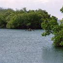 (2001-05) Kuba 20025 - Marea del Portillo - Bootstour Cayo Blanco