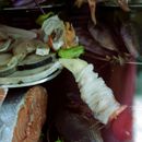 (2001-07) Lissabon 0327 - Auslage eines Fischrestaurants in Lissabon