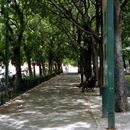 (2001-07) Lissabon 0406 - Avenida da Liberdade