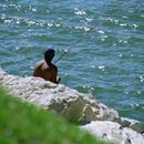 (2001-07) Lissabon 0623 - Angler in Arialva