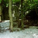 (2001-07) Lissabon 0916 Sintra - Auf dem Weg zum Castelo dos Mouros