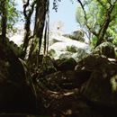 (2001-07) Lissabon 0917 Sintra - Auf dem Weg zum Castelo dos Mouros