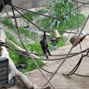 (2004-06) 082 Im Zoo