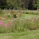 (2004-06) 226 Auf dem Suedfriedhof