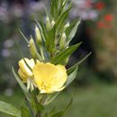 (2004-06) 230 Auf dem Suedfriedhof