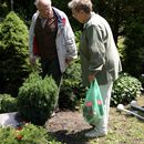 (2004-06) 239 Auf dem Suedfriedhof