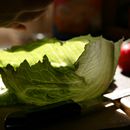 (2004-07) 151 Stillleben mit Salat