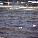 (2004-08) 1040 RUG Am Strand von Prora