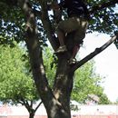 (2005-07) Picknick Spielplatz 573