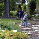 (2005-09) Botanischer Garten 09