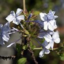 (2005-09) Botanischer Garten 12