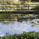 (2005-09) Botanischer Garten 30