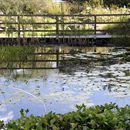 (2005-09) Botanischer Garten 30