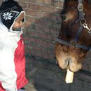 (2006-01) GT 059 Mit Barry im Schnee