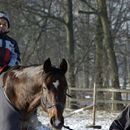 (2006-01) GT 148 Mit Barry im Schnee