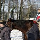 (2006-01) GT 167 Mit Barry im Schnee