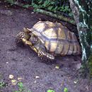 (2006-08) 1073 HX Nadermanns Tierpark