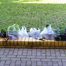 (2007-05) 0241 Fleissige Gartenhelfer