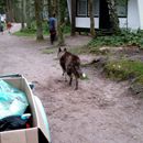 (2007-08) RUG AN 0001 Am Bakenberg