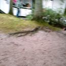 (2007-08) RUG AN 0040 Wir stellen Fotos aus Usedom nach