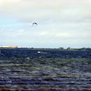 (2007-08) RUG HX 1924 In Wiek