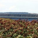 (2008-08) RUG HK 0537 Blick von Vaschvitz nach Hiddensee