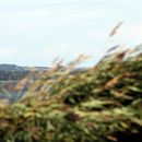 (2008-08) RUG HK 0541 Blick von Vaschvitz nach Hiddensee