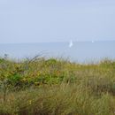 (2008-08) RUG HX 0127 An Strand und Dünen