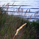 (2008-08) RUG HX 0145 An Strand und Dünen