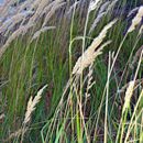 (2008-08) RUG HX 0146 An Strand und Dünen