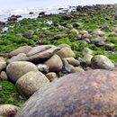 (2008-08) RUG HX 0148 An Strand und Dünen