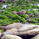 (2008-08) RUG HX 0149 An Strand und Dünen