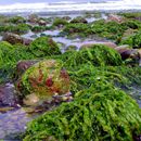 (2008-08) RUG HX 0152 An Strand und Dünen