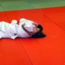 (2008-12) 541 Pierres erstes Judoturnier