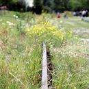 (2009-07) 0046 Plagwitz und Weltfrieden-Ausflug