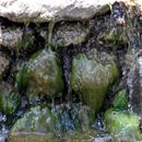 (2009-07) 1010 Im Ruegen-Park