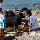 (2009-07) 4055 An Strand und Wasser