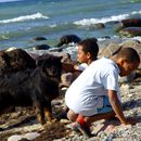 (2009-07) 4056 An Strand und Wasser