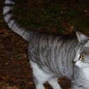 (2009-10) Besuch bei Adelino in Waldshut 326