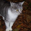 (2009-10) Besuch bei Adelino in Waldshut 327