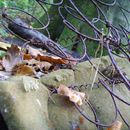 (2009-10) Besuch bei Adelino in Waldshut 352