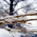 (2010-01) 0446 Winterliches Markkleeberg