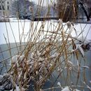 (2010-01) 0451 Winterliches Markkleeberg