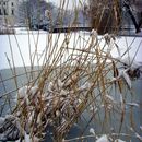 (2010-01) 0451 Winterliches Markkleeberg