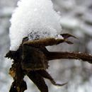 (2010-01) 0456 Winterliches Markkleeberg